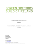 
            Image depicting item named Screen Directors Guild of Ireland