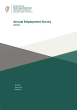 
            Image depicting item named Annual Employment Survey 2019