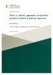 
            Image depicting item named Research Paper: What is behind aggregate productivity growth in Ireland? A granular approach